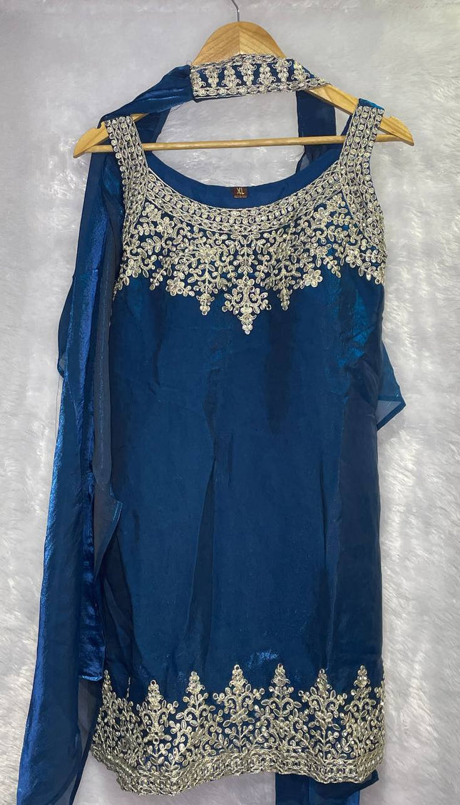 Royal Blue Tissue Organza Palazzo Set with Embroidered Dupatta|P1_2