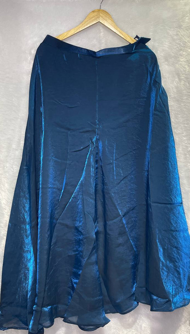 Royal Blue Tissue Organza Palazzo Set with Embroidered Dupatta|P1_2