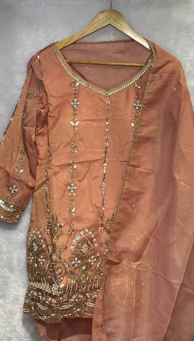 Peach Tissue Organza Palazzo Set with Elegant Embroidery|P4_2