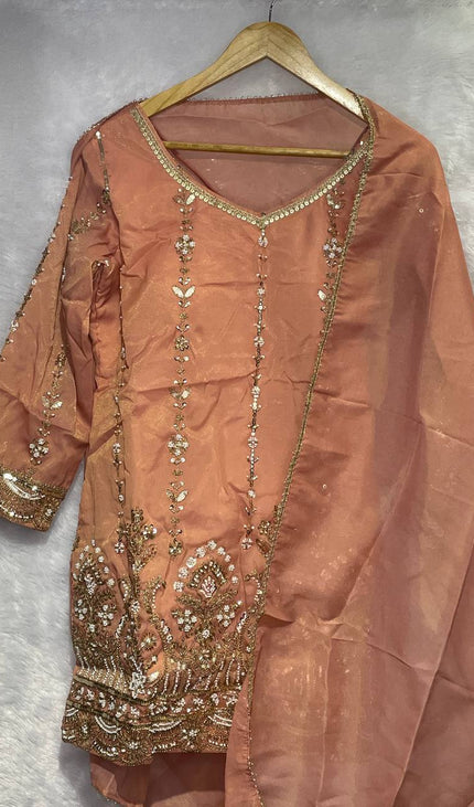 Peach Tissue Organza Palazzo Set with Elegant Embroidery|P4_2