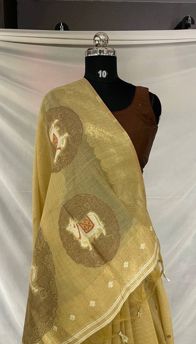 Golden Champagne Tissue Silk Saree with  Zari Border |CS7_6