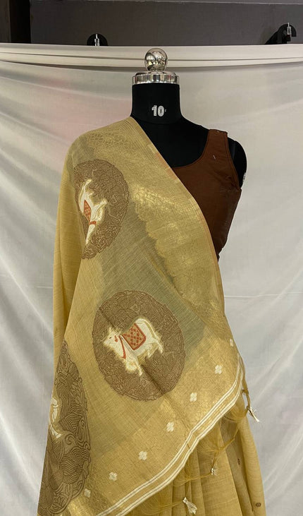 Golden Champagne Tissue Silk Saree with  Zari Border |CS7_6