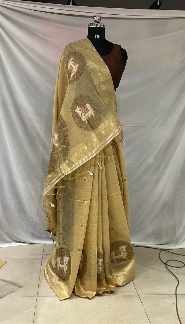 Golden Champagne Tissue Silk Saree with  Zari Border |CS7_6