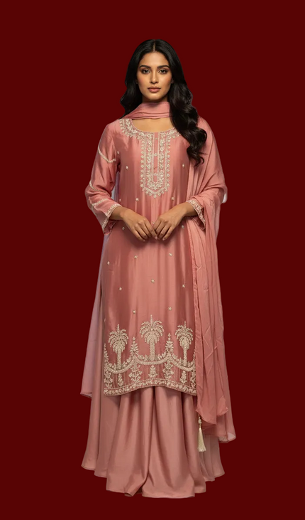 Dusty Pink Tissue Organza Palazzo Set with Elegant Embroidery|P2_2